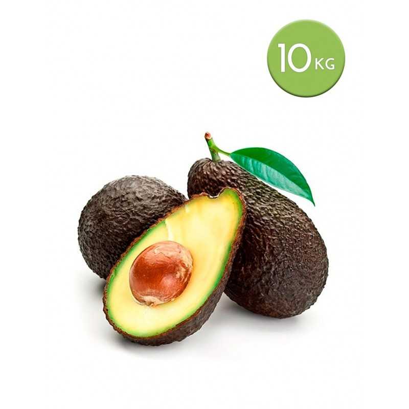 10 kg. aguacate hass