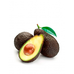 copy of Aguacate