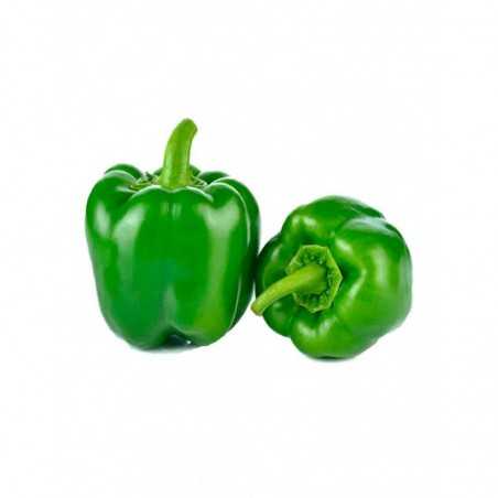 Pimiento Verde (precio/Kg)