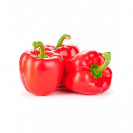 Pimiento Rojo (precio 1 kgr.)