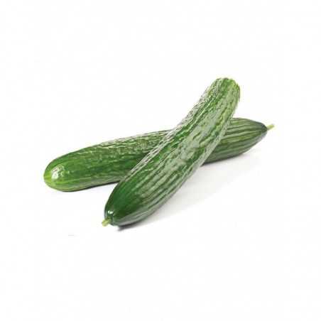Comprar pepino de la huerta online al agricultor - 500 gr precio