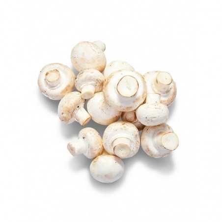 Champiñones (precio/250 gr)
