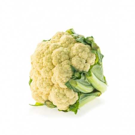 Coliflor (precio/unidad)