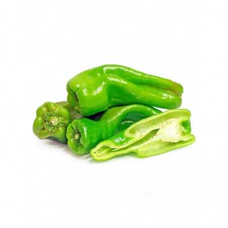 Pimiento verde italiano - Comprar online al productor precio y calidad
