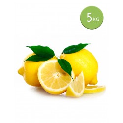 Limones (Caja 5 Kg)